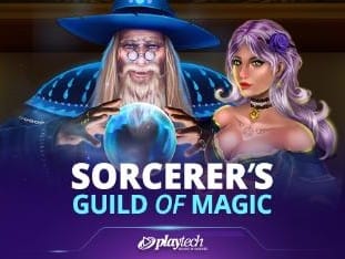 Sorcerer's Guild Of Magic game icon