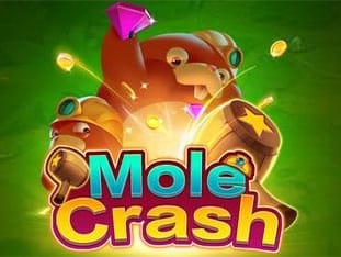 Mole Crash game icon